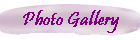 Photo Gallery