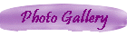 Photo Gallery